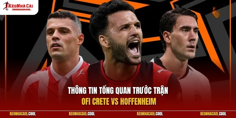 Thông tin tổng quan trước trận OFI Crete vs Hoffenheim